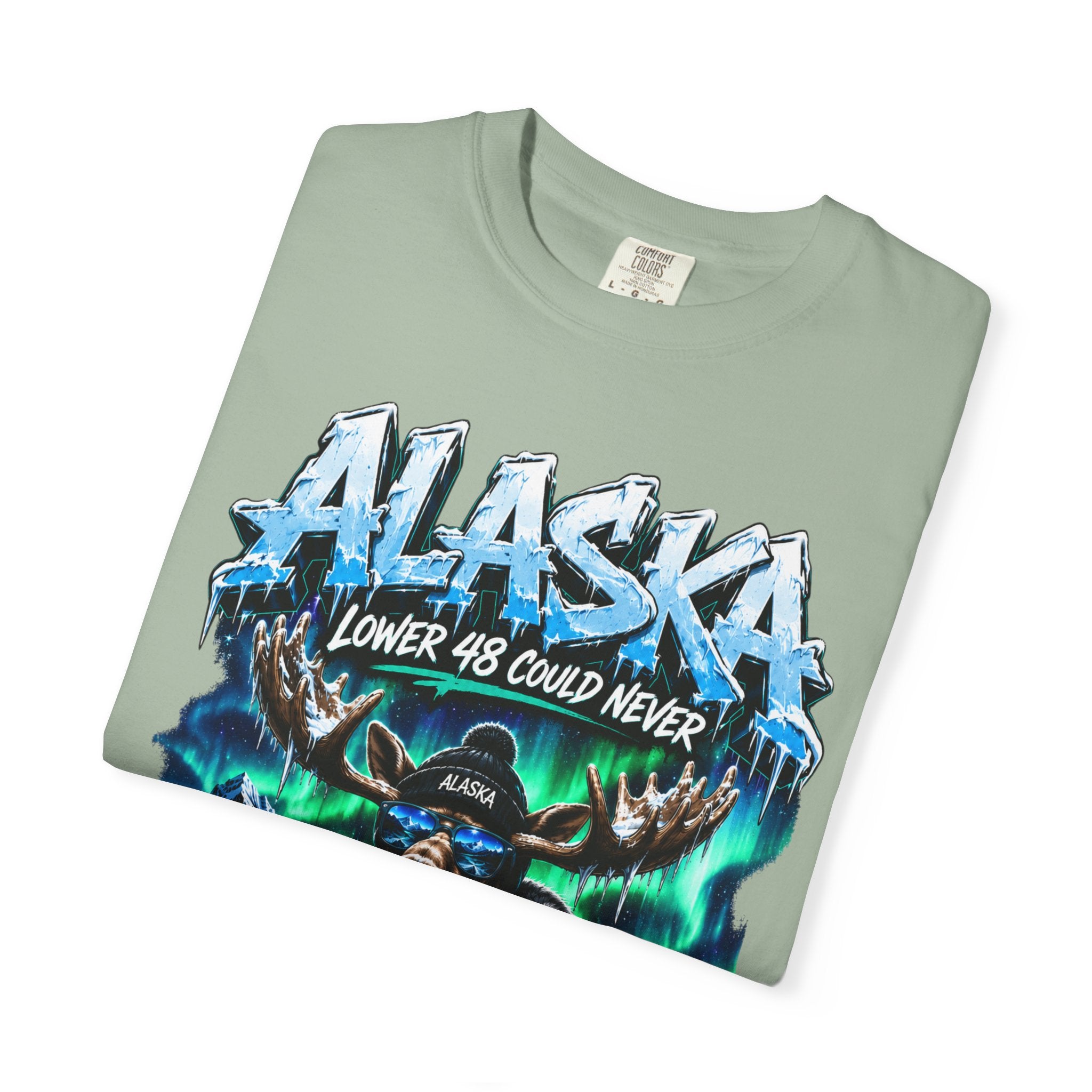 Alaska Moose Aurora Graphic T-Shirt — "Lower 48 Could Never"
